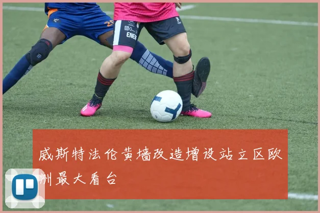威斯特法伦黄墙改造增设站立区欧洲最大看台