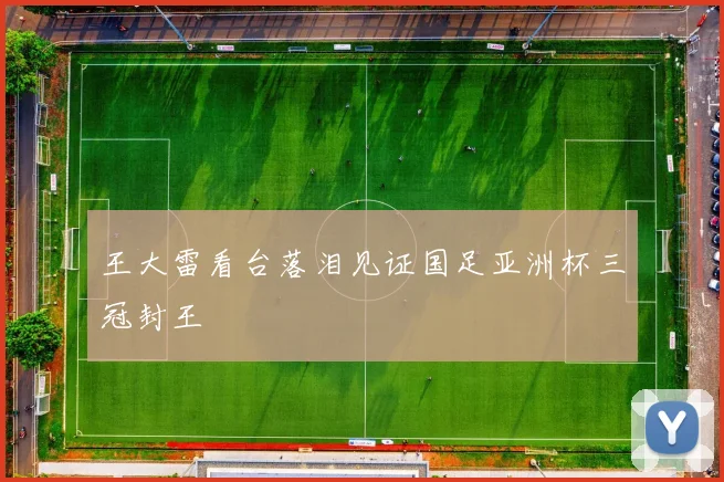 王大雷看台落泪见证国足亚洲杯三冠封王