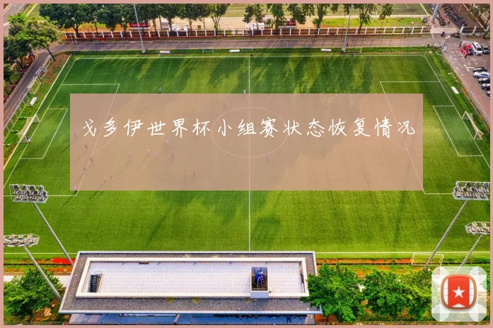 戈多伊世界杯小组赛状态恢复情况