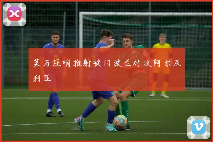 莱万压哨推射破门波兰对攻阿尔及利亚