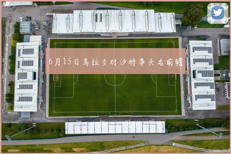 6月15日乌拉圭对沙特争头名前瞻