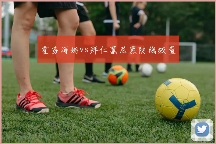 霍芬海姆vs拜仁慕尼黑防线较量