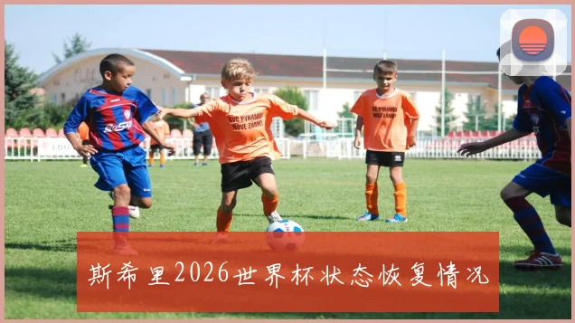 斯希里2026世界杯状态恢复情况